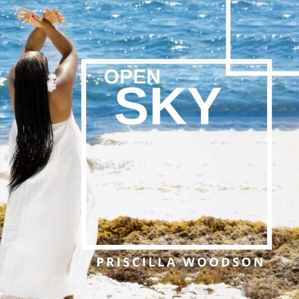 Cover art for Open Sky